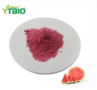 Watermelon Fruit Powder